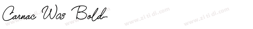 Carnac W03 Bold字体转换